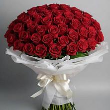 Букет 101 Красная роза Блэк Мэджик в Мартемьяново
